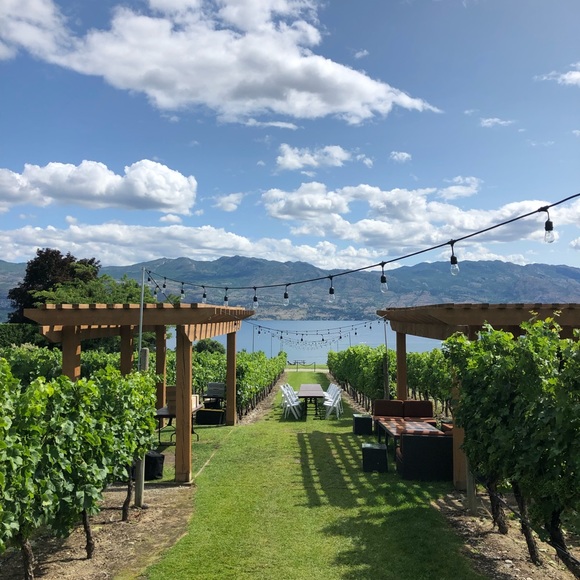 Meet your Posher, Grace - Picture 1 of 1